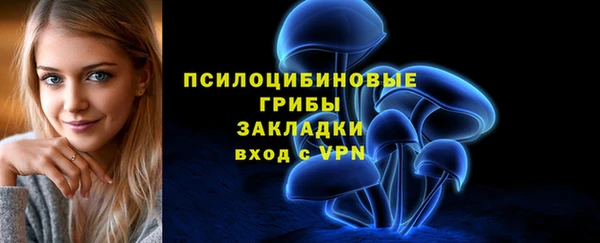 крисы Алзамай