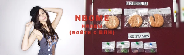 крисы Алзамай