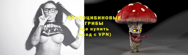 крисы Алзамай