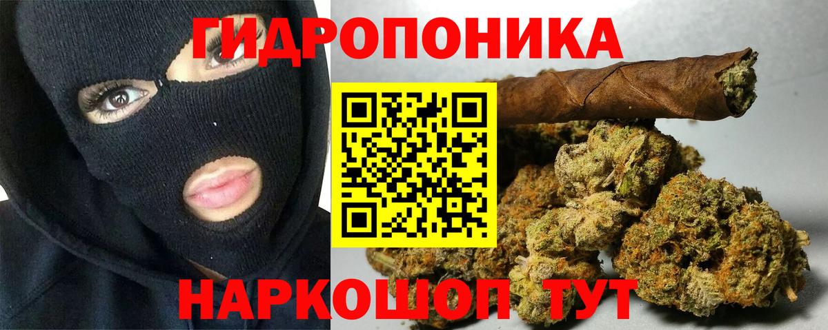 Конопля SATIVA & INDICA Аша